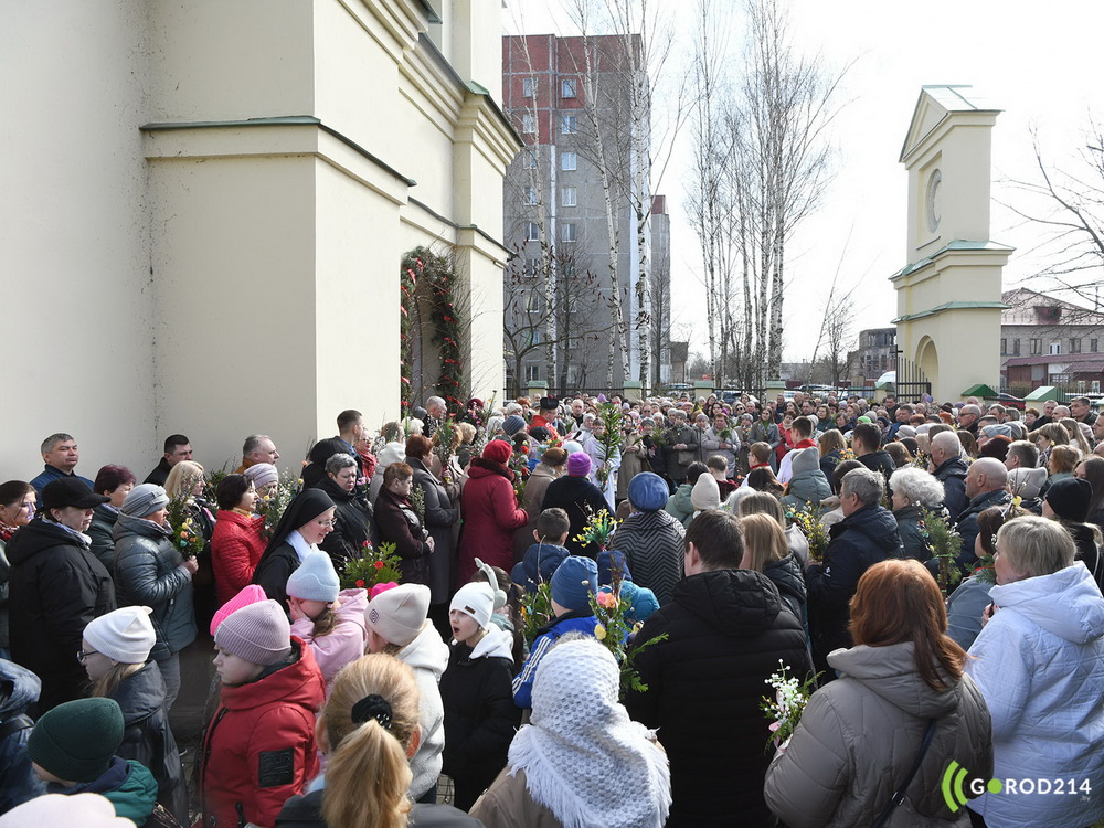 DSC_2649_новый размер