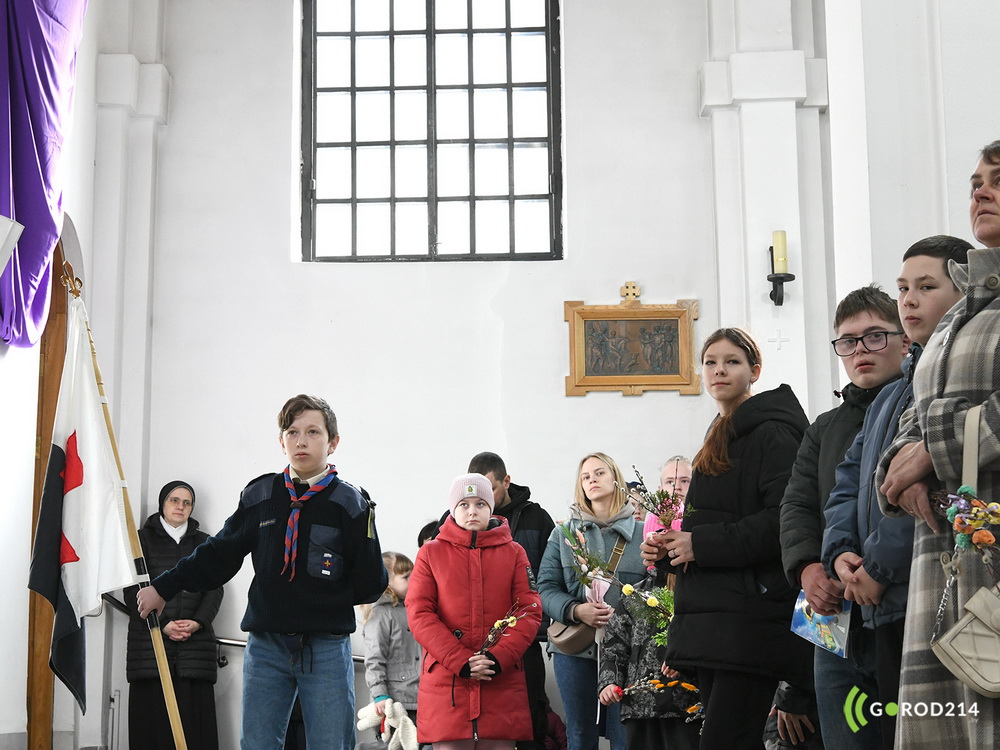 DSC_2737_новый размер