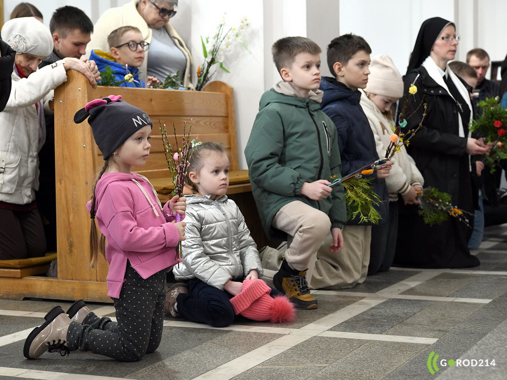 DSC_2763_новый размер