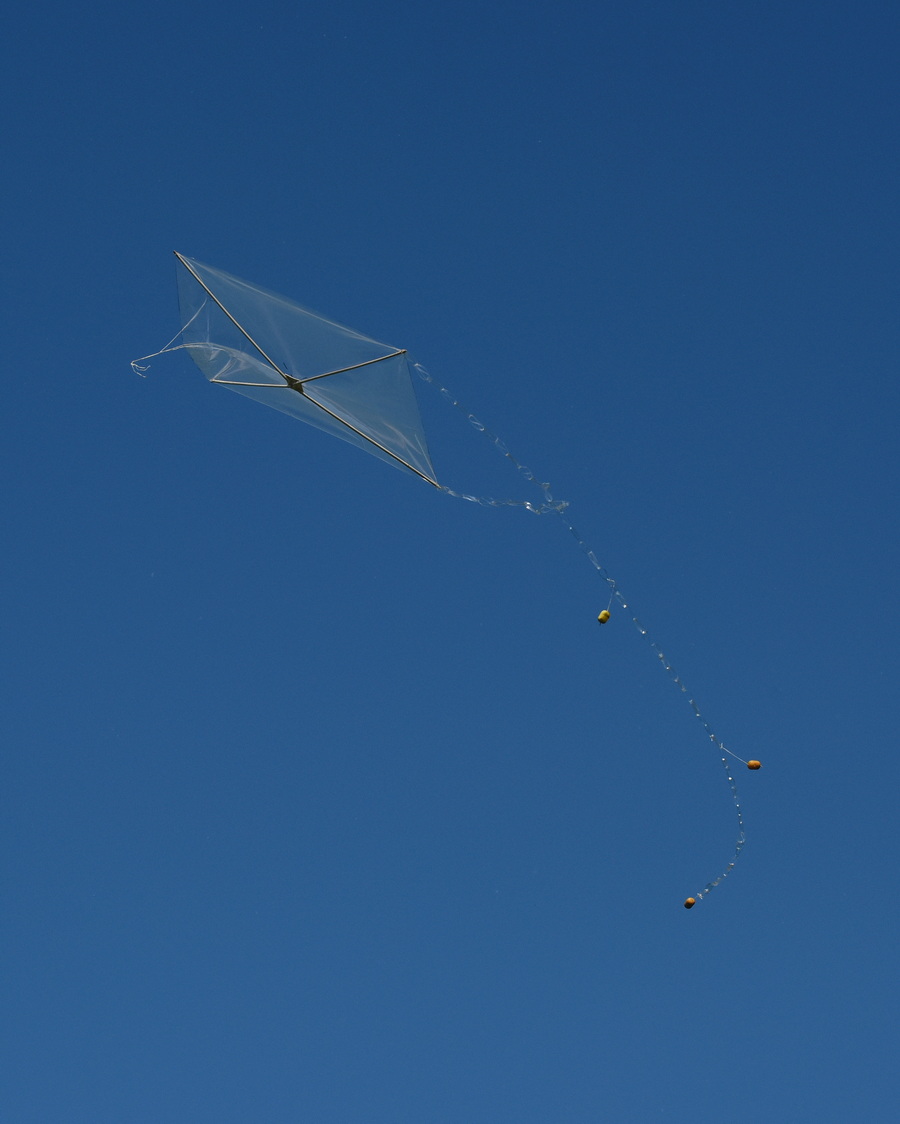 DSC_9874_resize