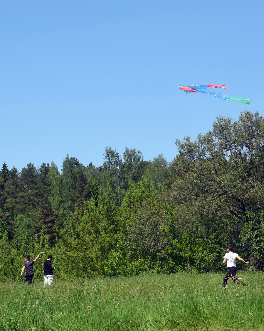 DSC_9951_resize