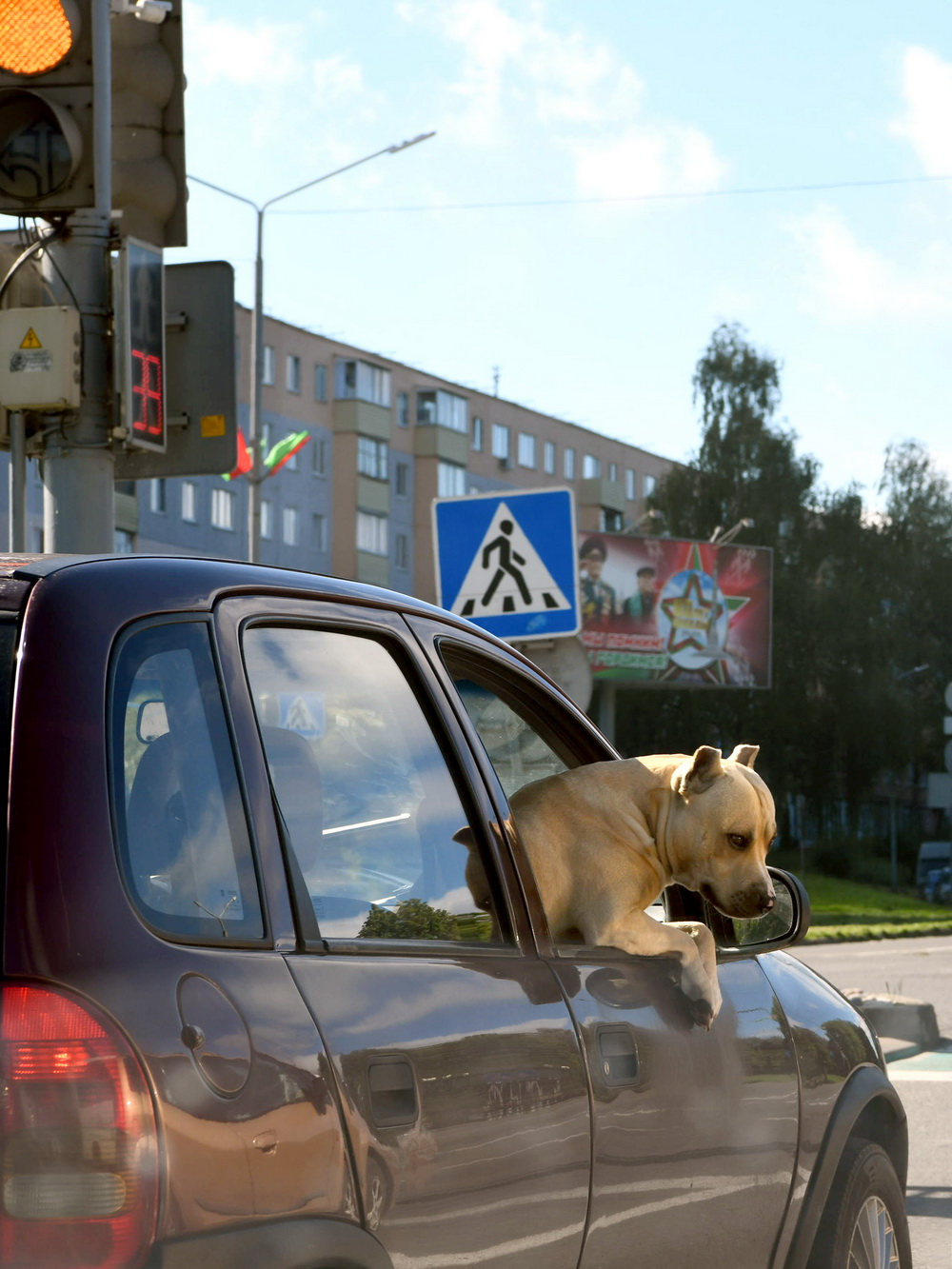 DSC_6563_новый размер