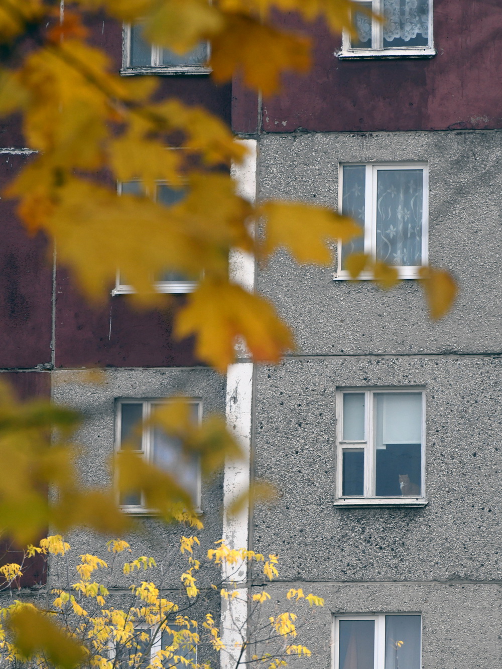 DSC_0039_новый размер