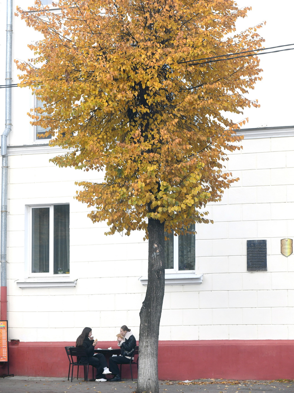 DSC_0404_новый размер