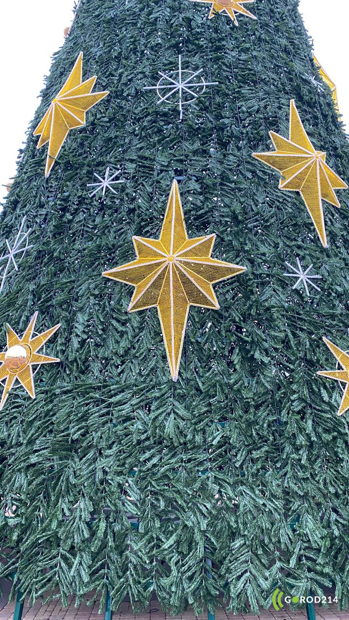 photo_2025-11-25_11-13-12