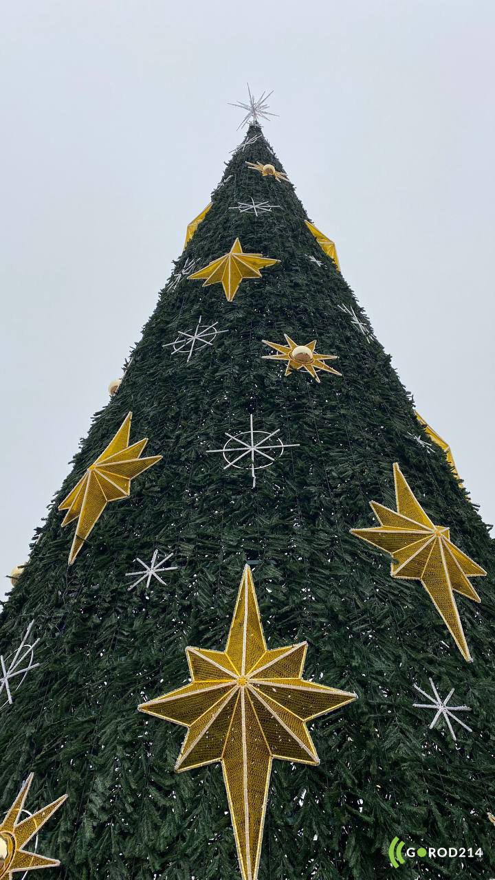 photo_2025-11-25_11-13-21