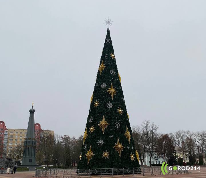 photo_2025-11-25_11-13-31