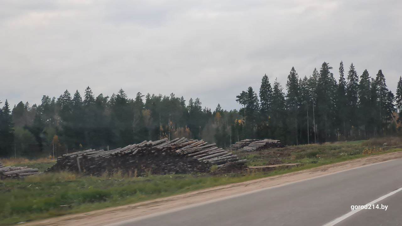 photo_2025-10-30_14-18-25_1