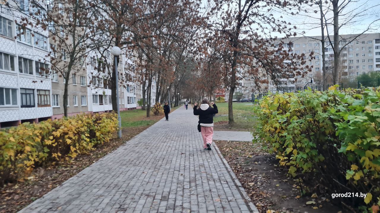 photo_2025-10-26_16-54-42