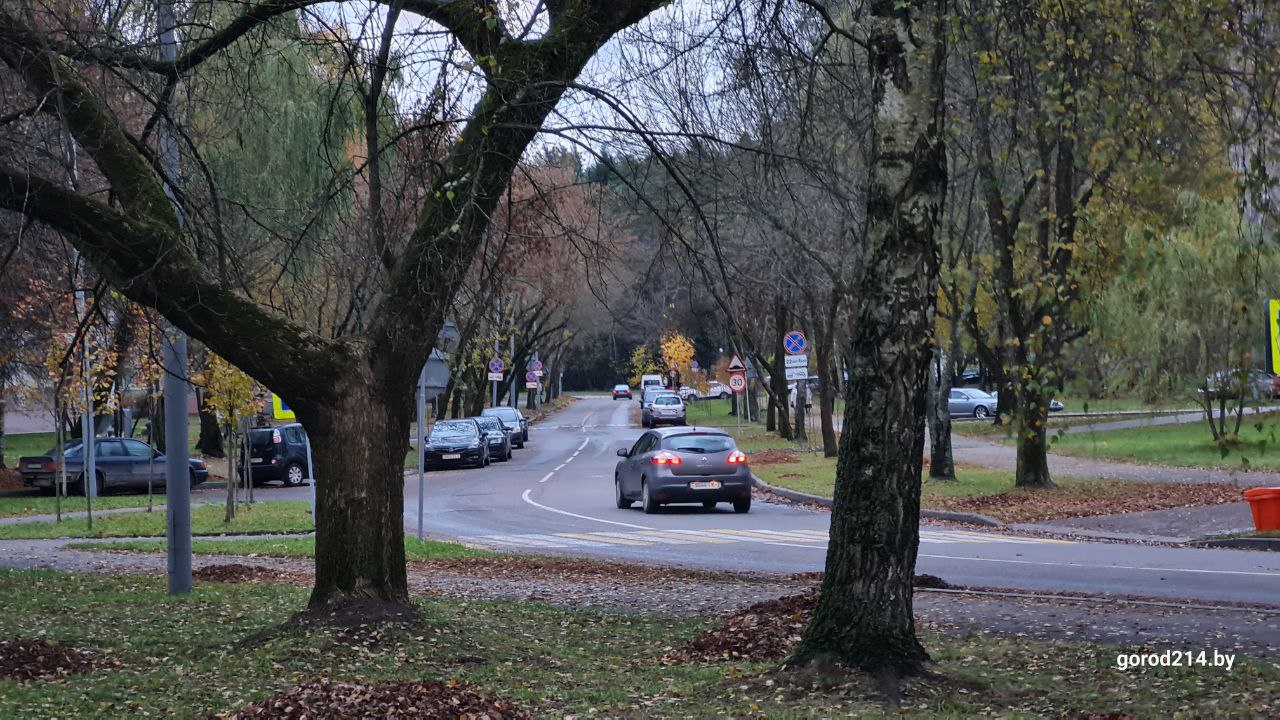 photo_2025-10-27_15-49-55