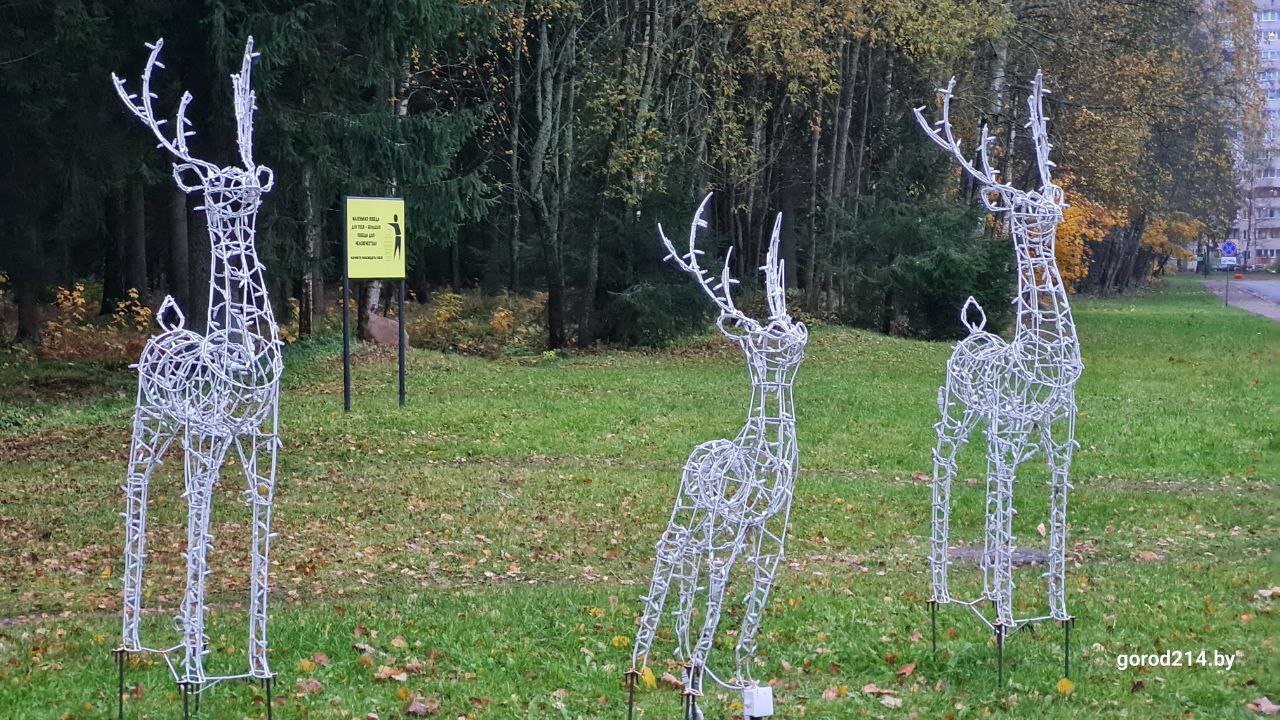 photo_2025-10-27_15-50-03