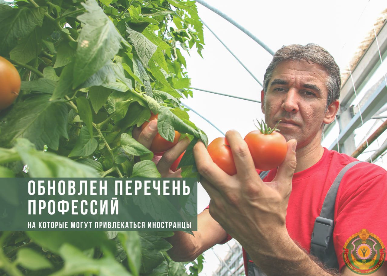 photo_2025-10-29_14-19-21