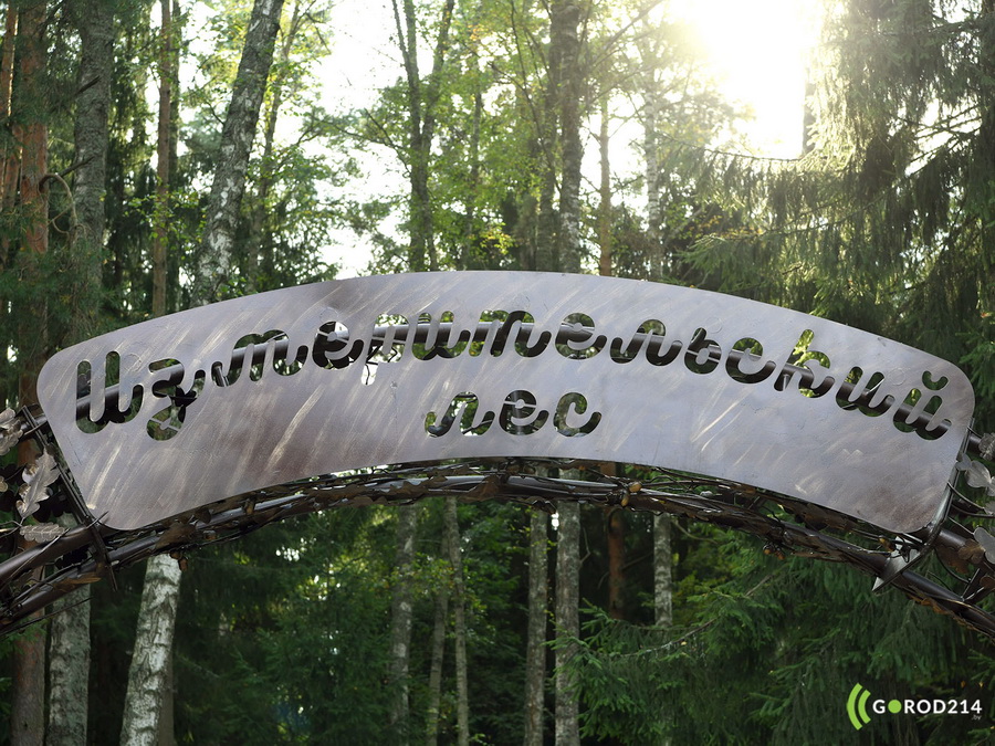 DSC_8350_новый размер