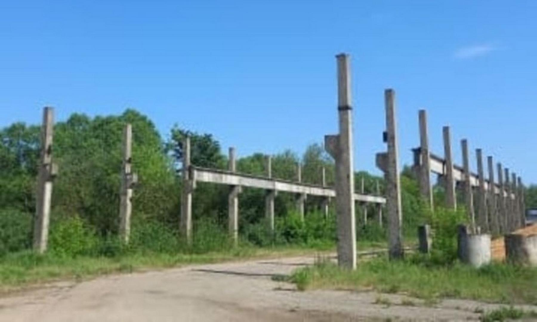 13.11.2025-lot-7-poloczk-trosniczkij-pravo-elektro-50