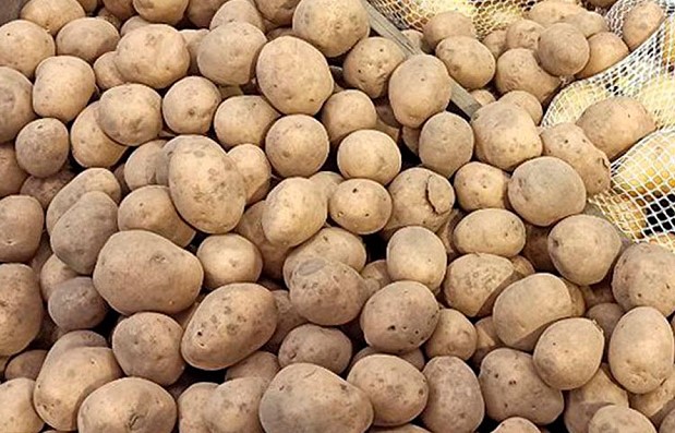 187c81d0d6326511950019656707774f