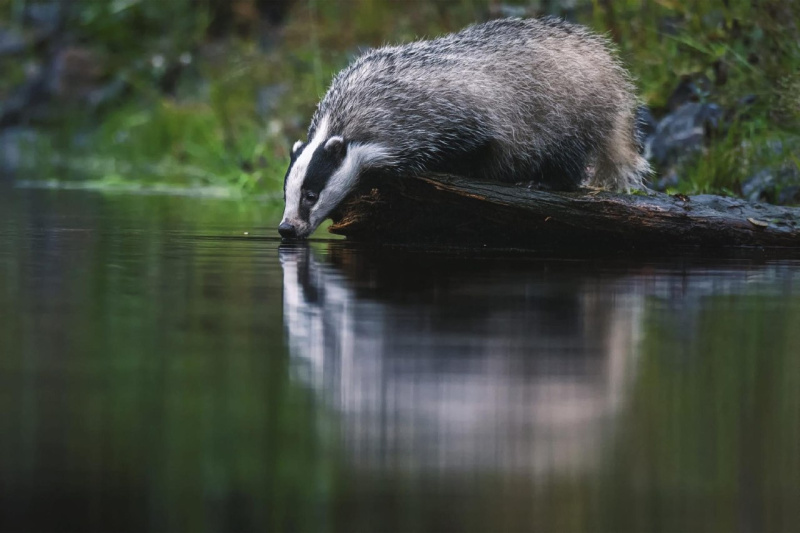 80o8cqbad83pbxdl4a0zx8zeupuy2ozl