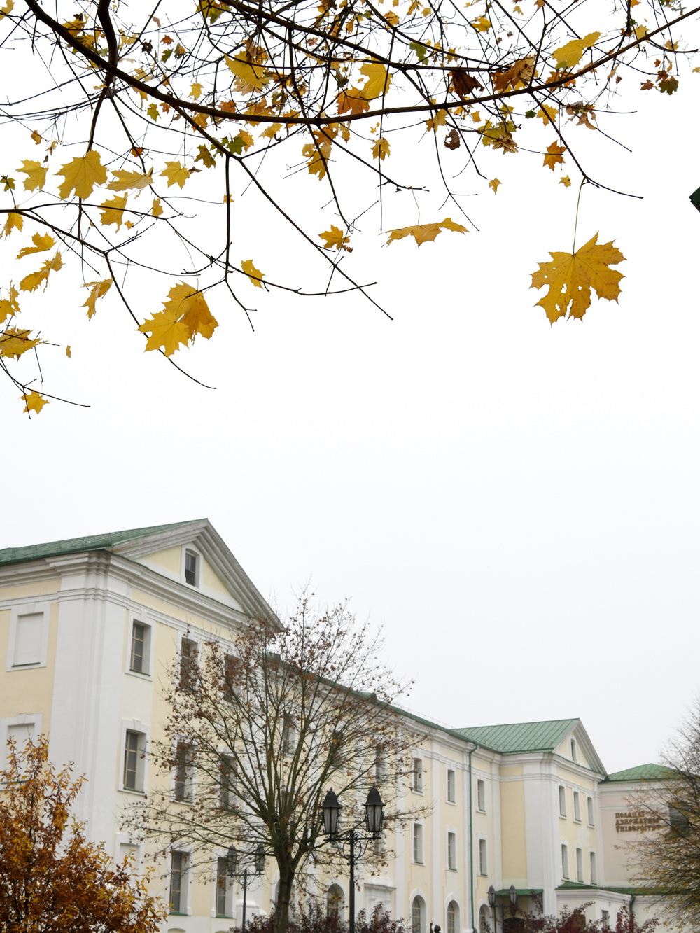 DSC_1000_новый размер