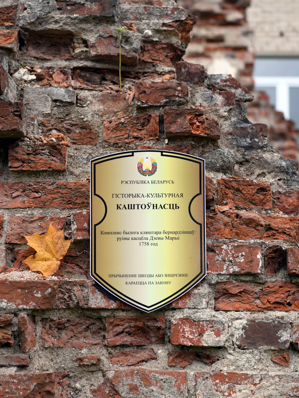 DSC_1089_новый размер