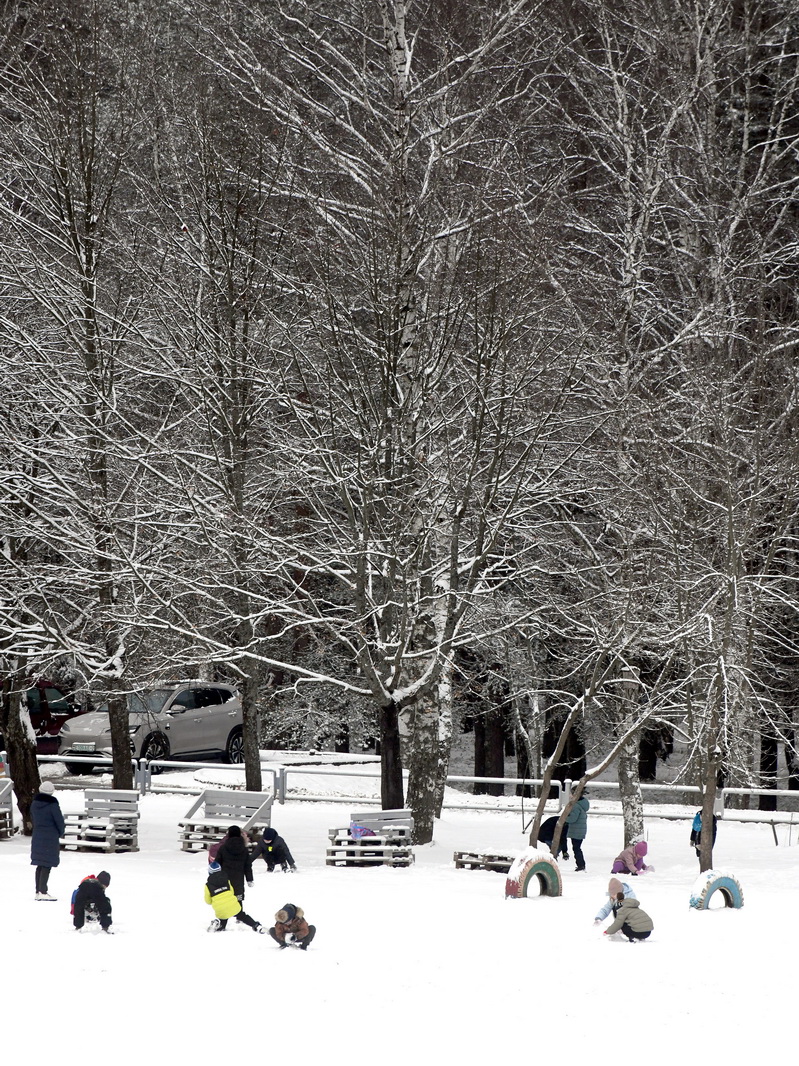 DSC_3739_новый размер