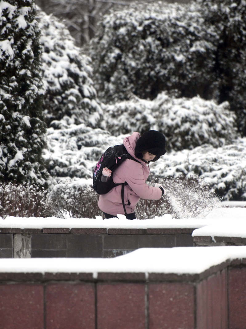 DSC_3761_новый размер