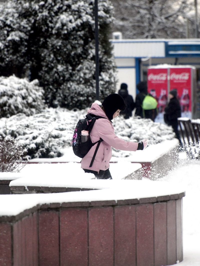 DSC_3763_новый размер