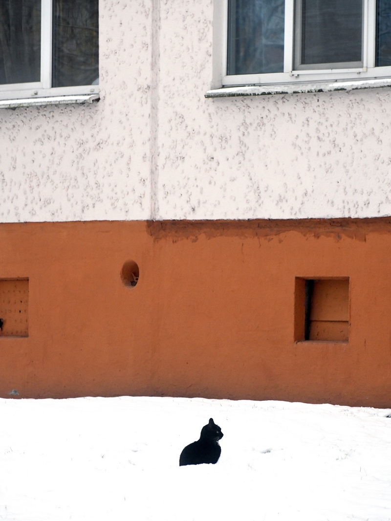 DSC_3768_новый размер