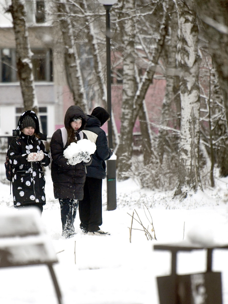 DSC_3780_новый размер