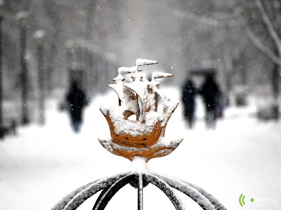 DSC_3808_новый размер