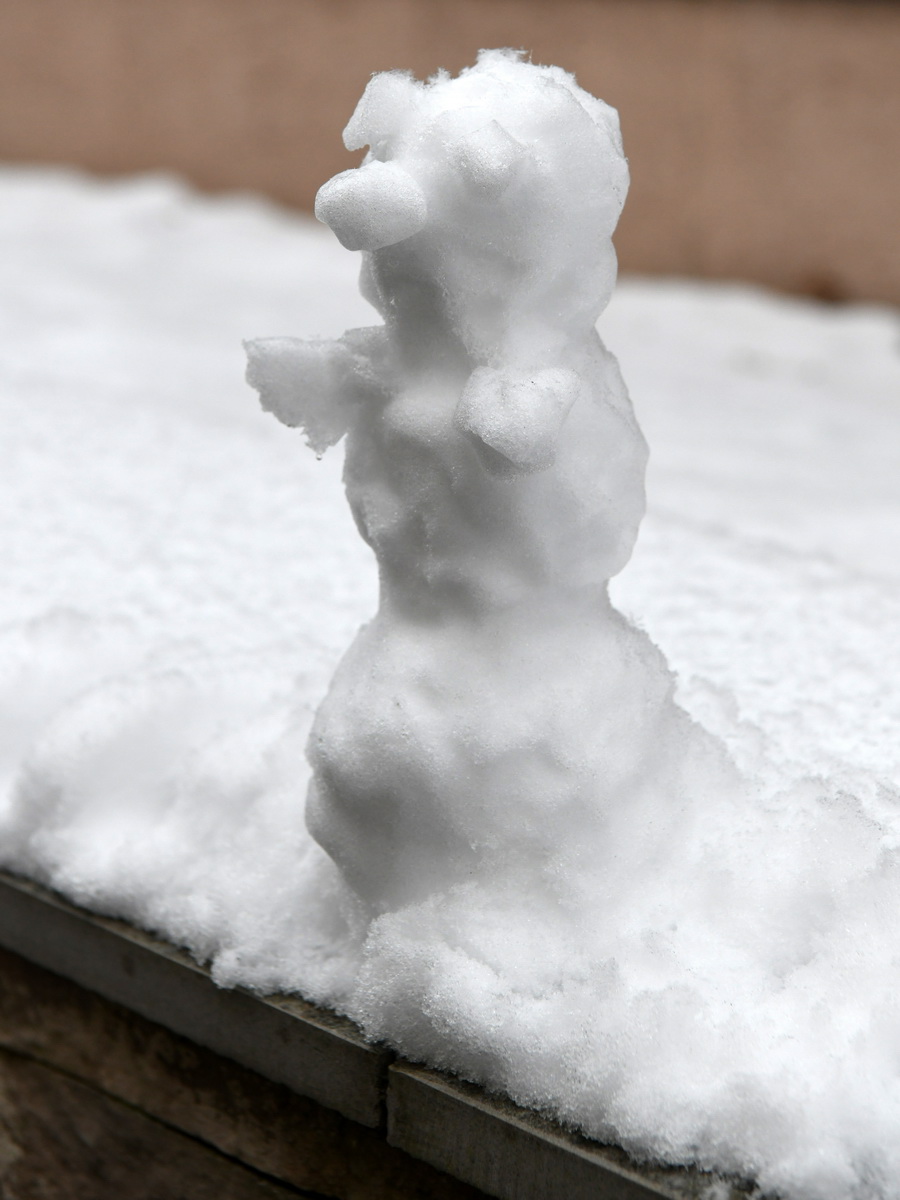 DSC_5981_новый размер