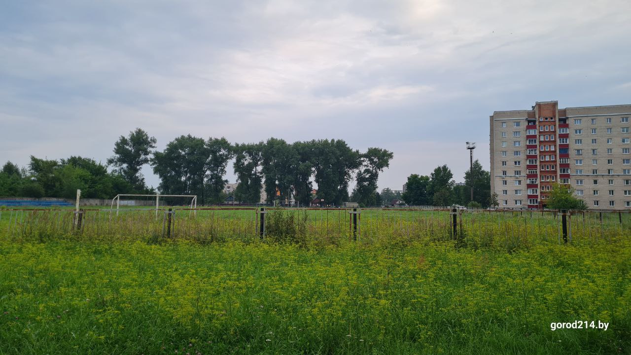 photo_2025-07-30_20-44-14