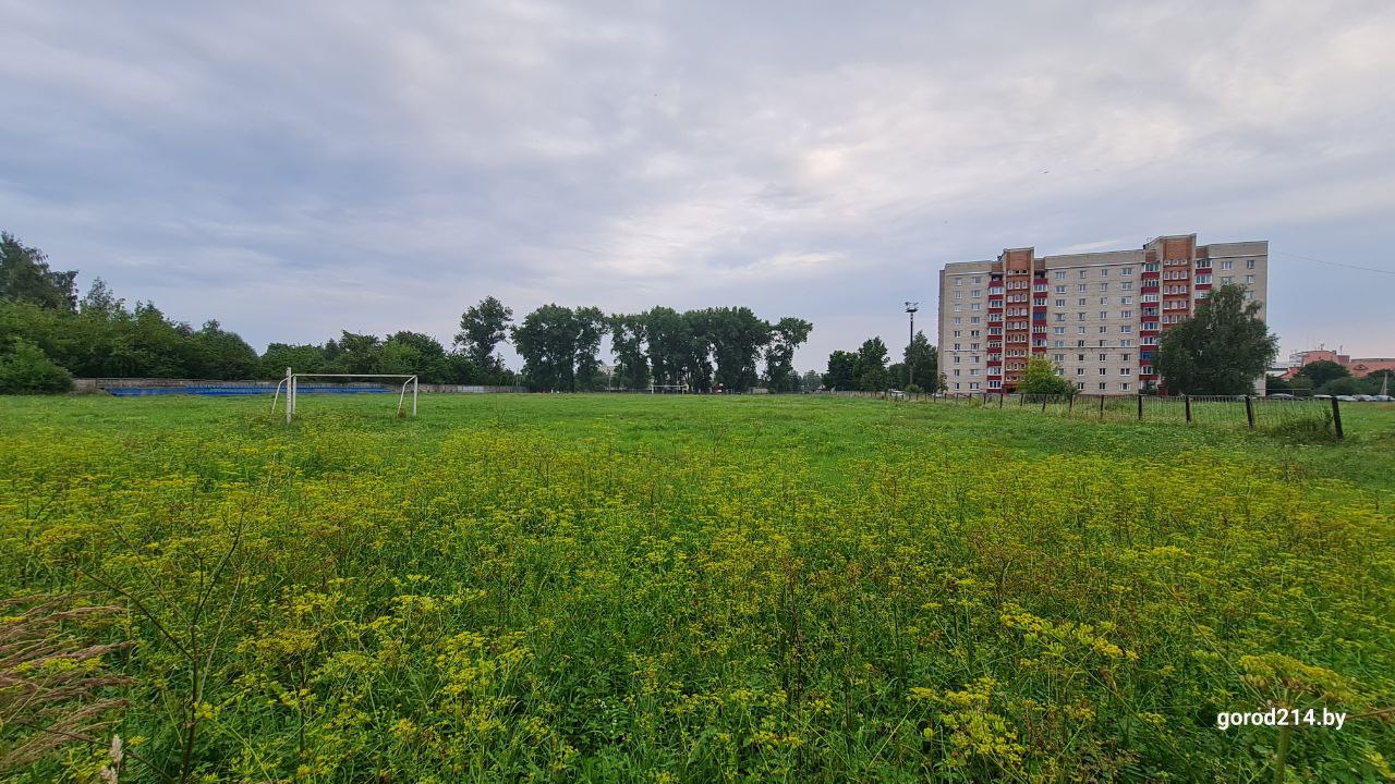 photo_2025-07-30_20-44-15 (2)