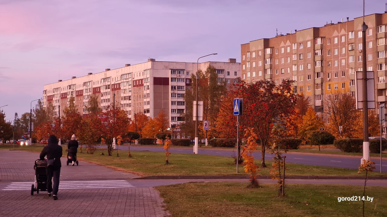 photo_2025-10-15_18-31-01 (2)