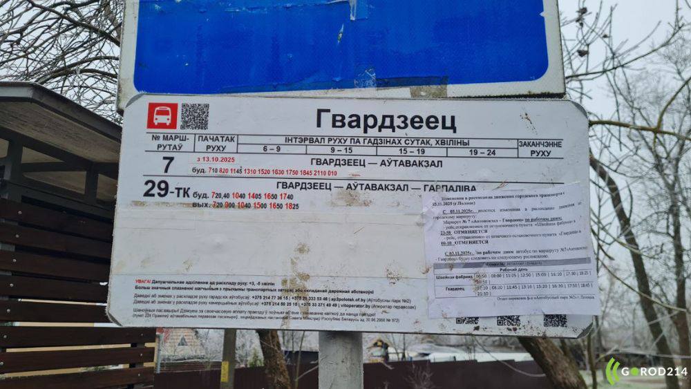 photo_2025-11-23_16-18-26