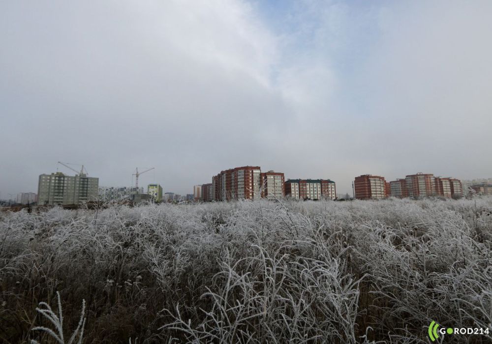 photo_2025-11-24_13-58-32