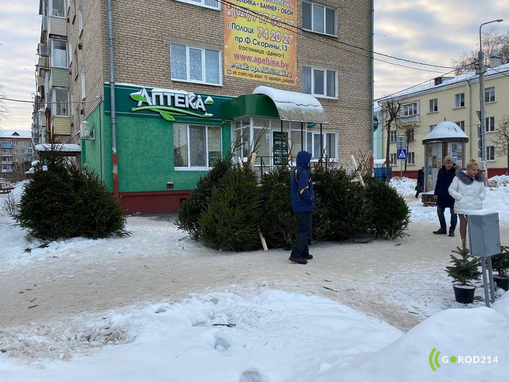 photo_2025-11-28_11-19-35