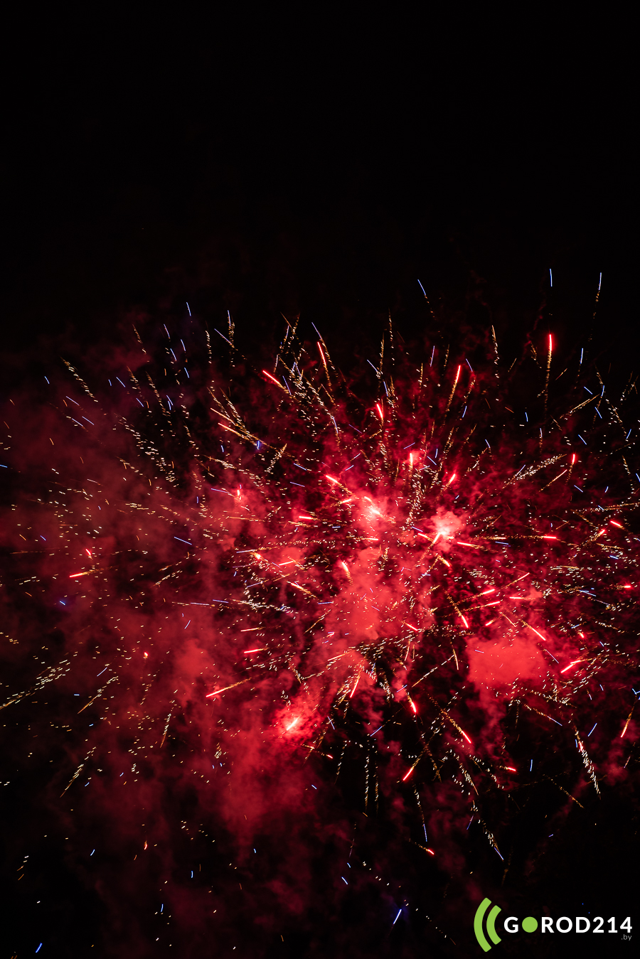 20260509-DSC_6505