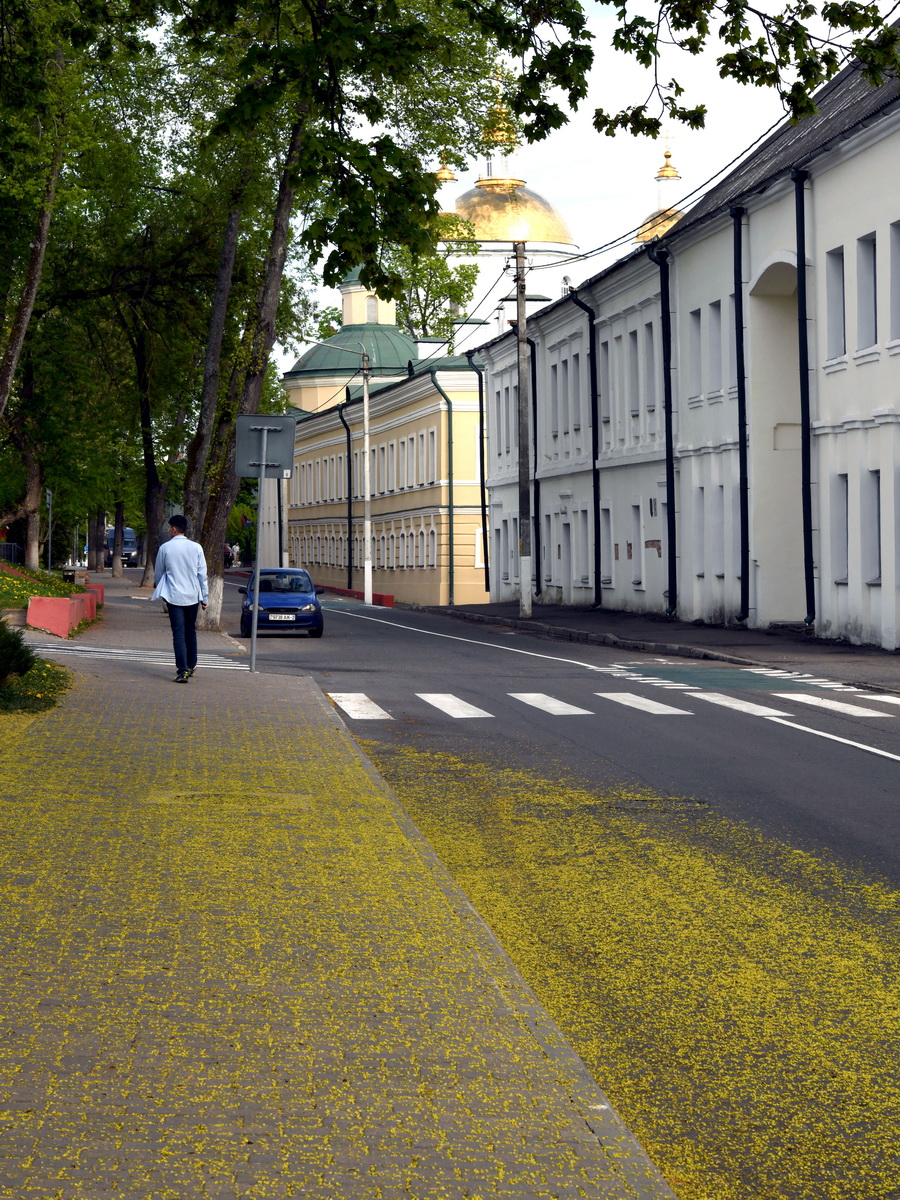 DSC_4407_новый размер