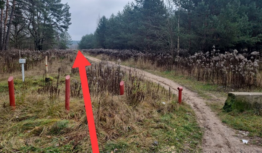 2Bezymjannyj-1-2-3-4-5-6-7-8