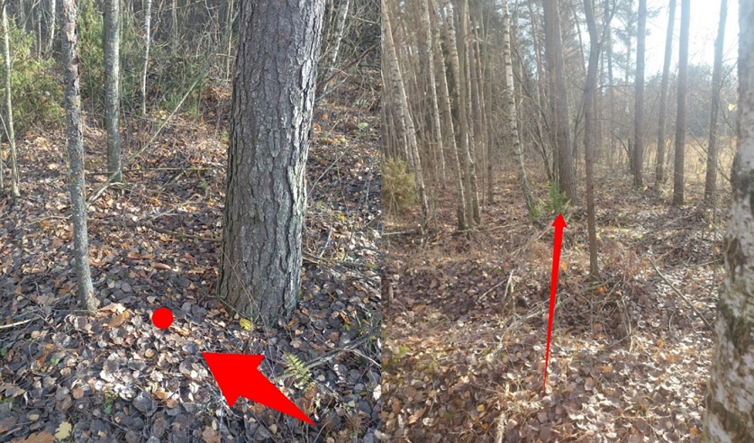 5Bezymjannyj-1-2-3-4-5