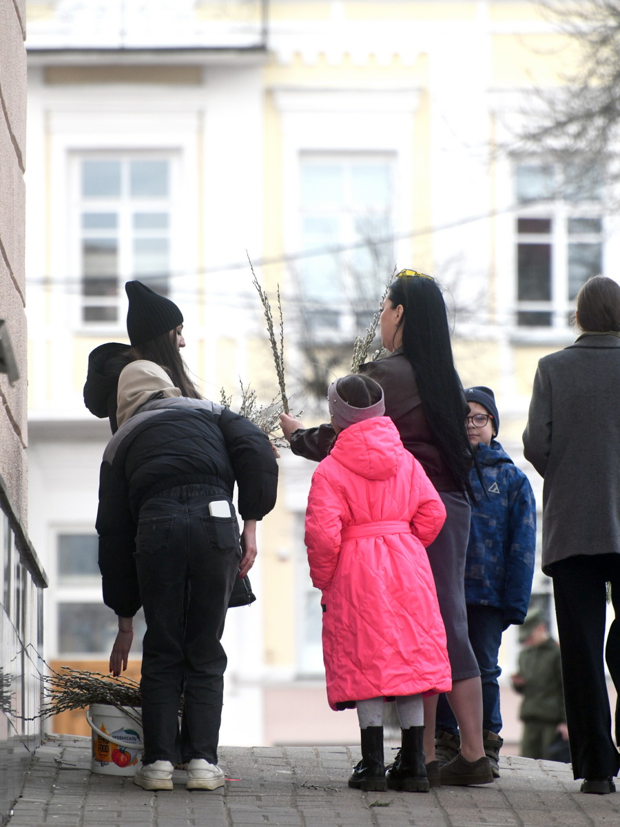 DSC_8631_новый размер