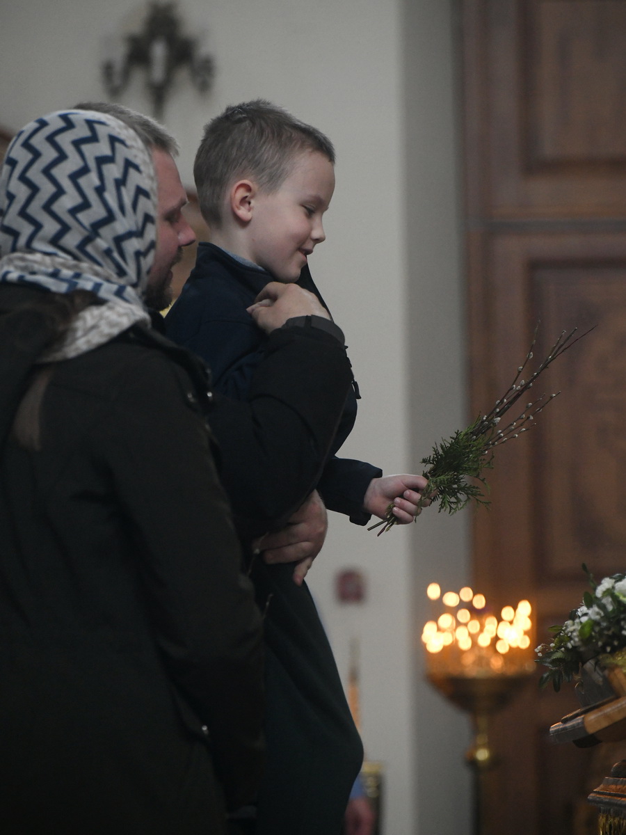 DSC_8642_новый размер