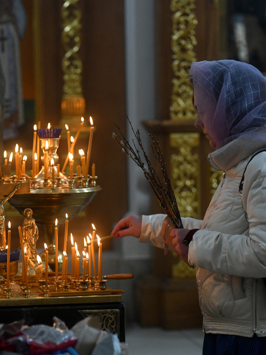 DSC_8650V_новый размер