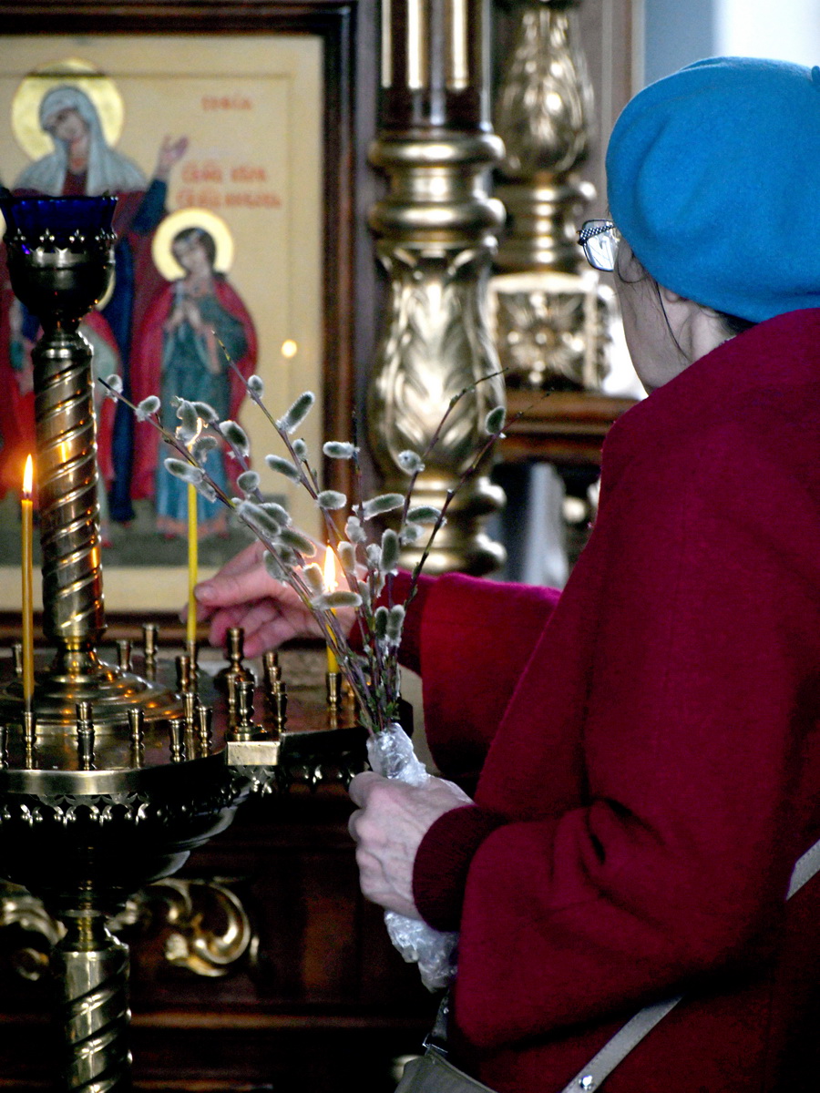 DSC_8662_новый размер