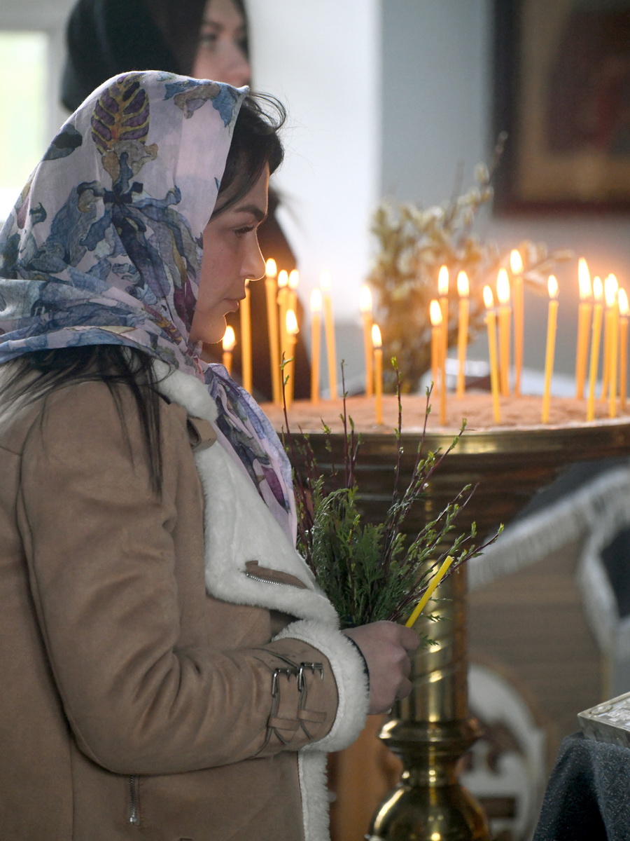 DSC_8668_новый размер