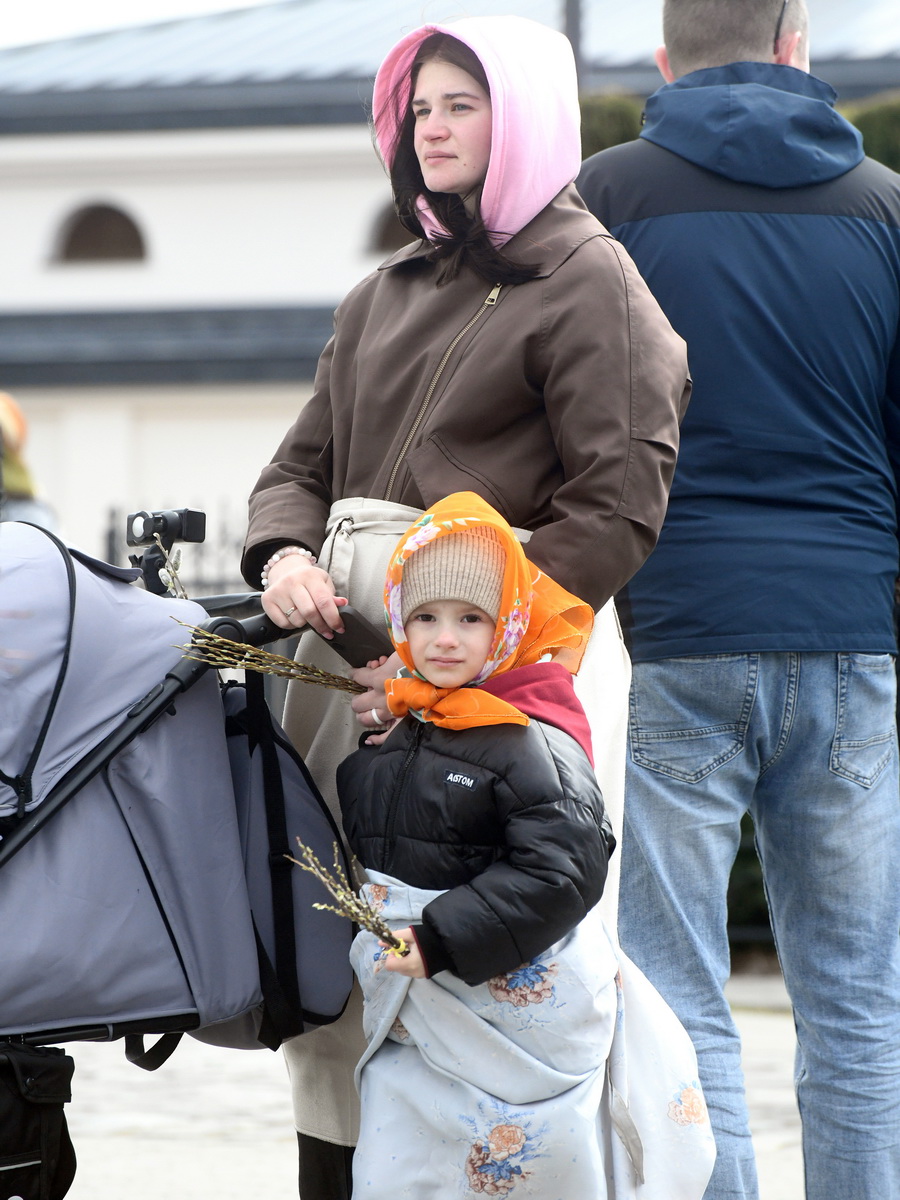 DSC_8689_новый размер