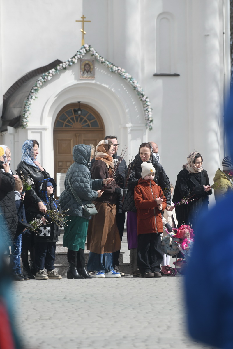 DSC_8694_новый размер