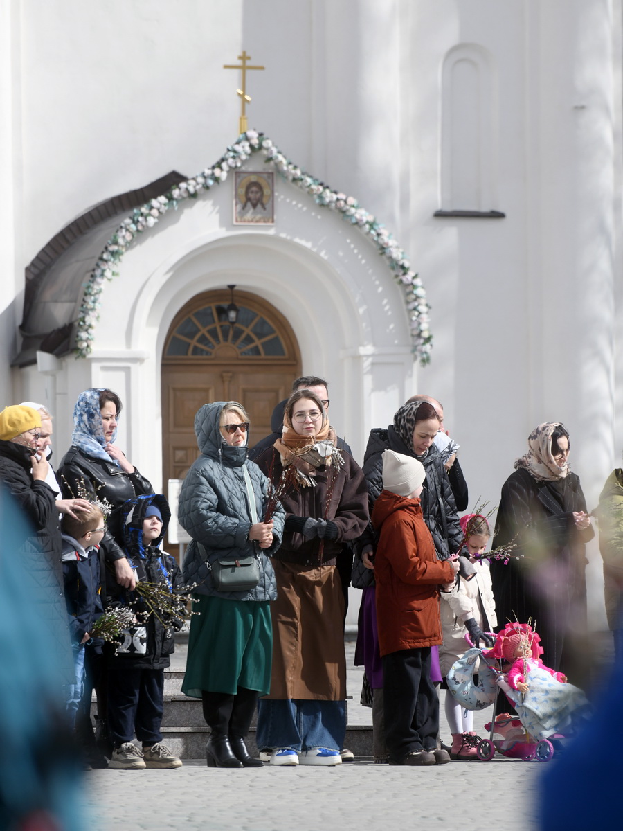 DSC_8695_новый размер