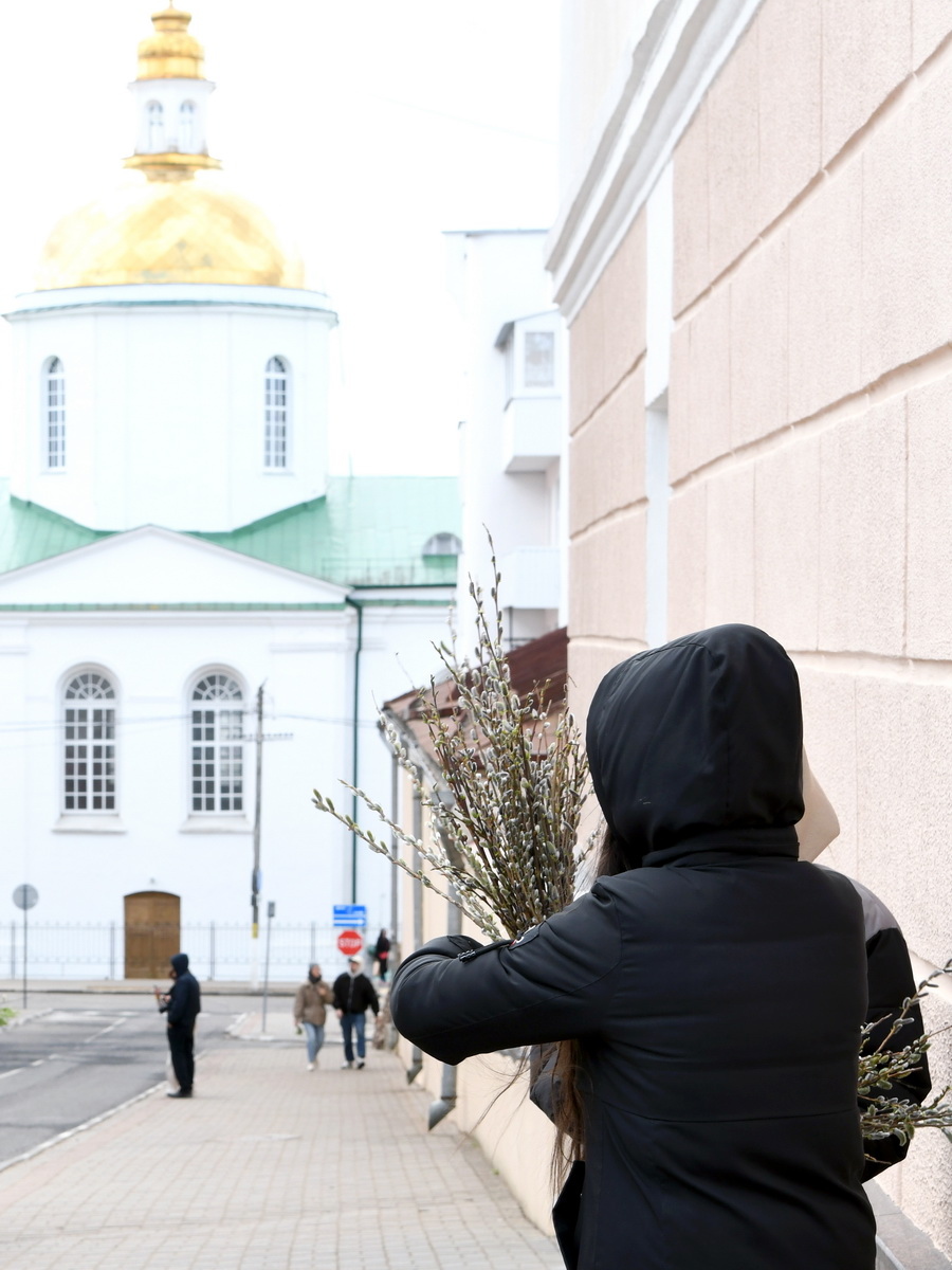 DSC_9401_новый размер