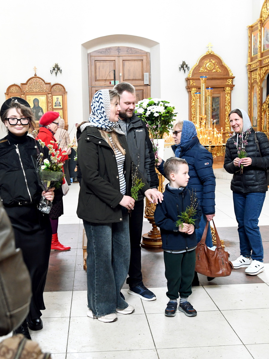 DSC_9407_новый размер