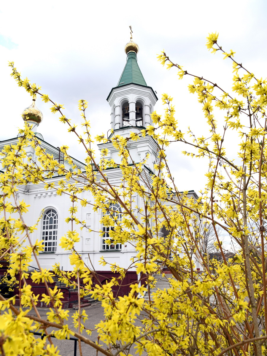 DSC_9425_новый размер